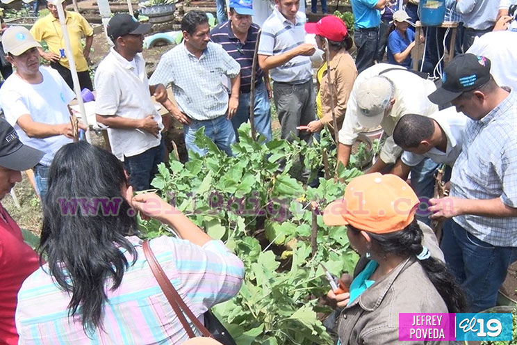Facilitadores de Educación Técnica en el Campo son capacitados sobre Huertos Familiares