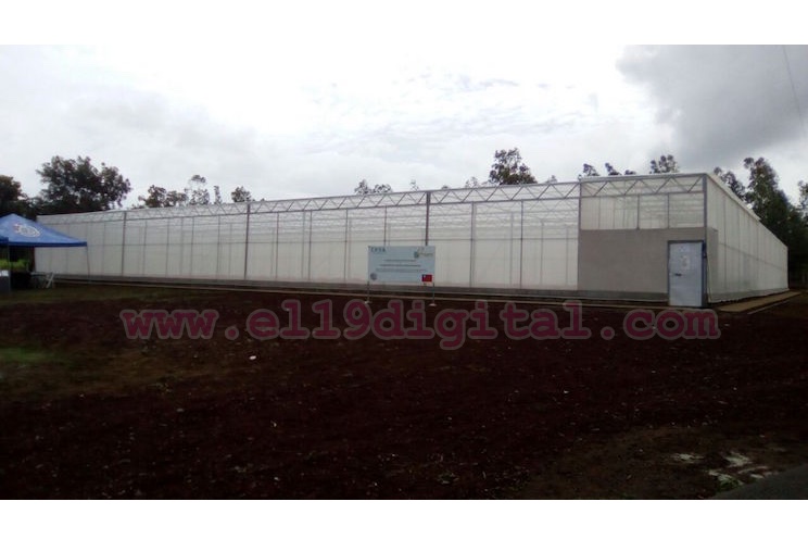 Inauguran vivero de plantas sanas en cítricos