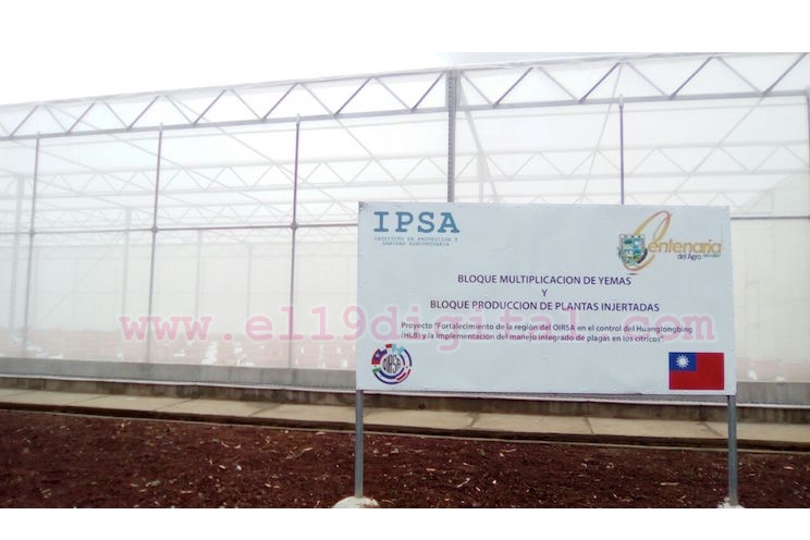 Inauguran vivero de plantas sanas en cítricos