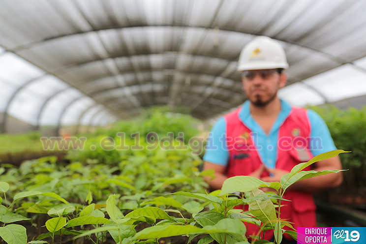 Paz que vive Nicaragua permite las inversiones en sector minero