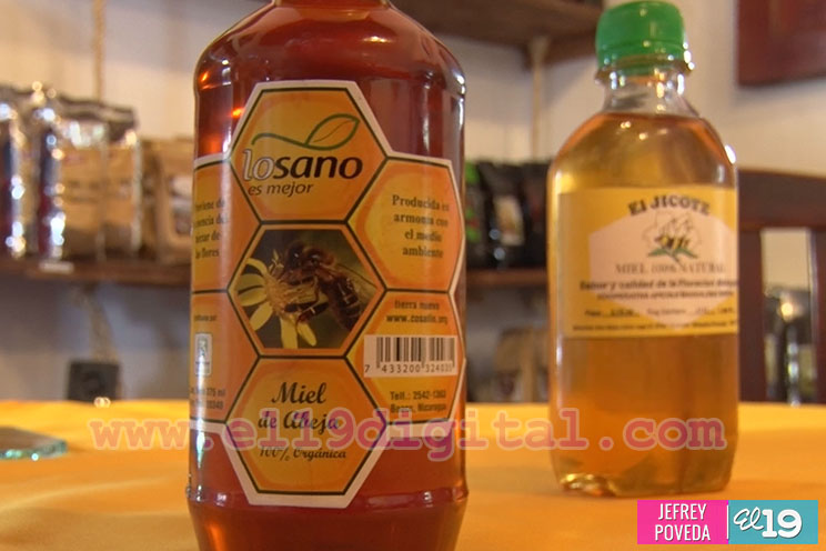 Conozca los productos derivados de la miel en la Feria de la Economía Familiar de Fin de Semana