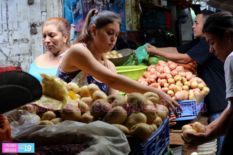 Comerciantes destacan estabilidad en los precios de la Canasta Básica