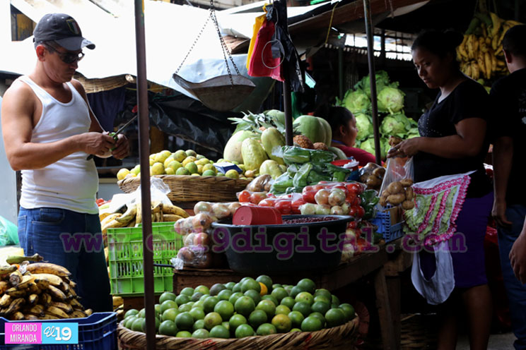 Comerciantes destacan estabilidad en los precios de la Canasta Básica