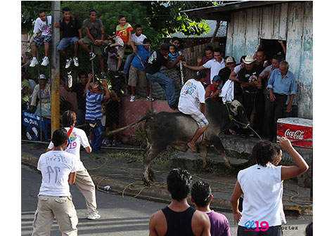 Vacas Culonas y Corrida de Toros ofrecen tremendo espectáculo en el barrio San José Oriental