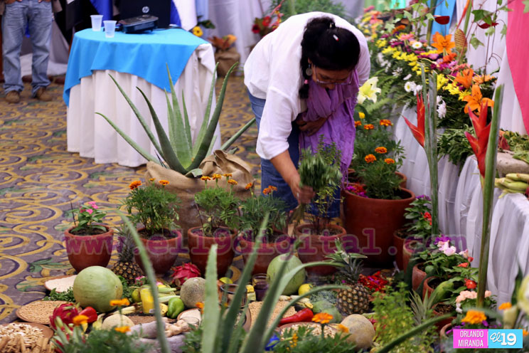 Concluye congreso internacional de medicina tradicional, natural y terapias complementarias