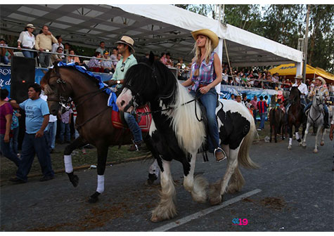 Familias capitalinas disfrutan desfile hípico en honor a Santo Domingo de Guzmán