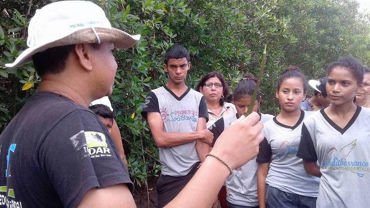 Jóvenes reforestan con plantas de mangle en Las Peñitas