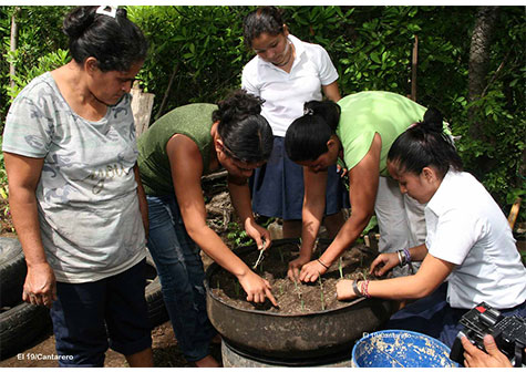 Se establecen primeros Patios Saludables Modelo en zonas rurales de Managua
