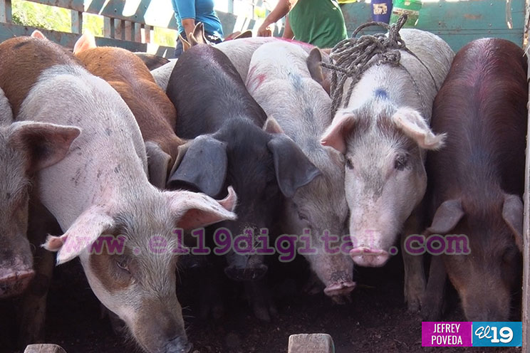 San Rafael del Sur enarbola la bandera del progreso