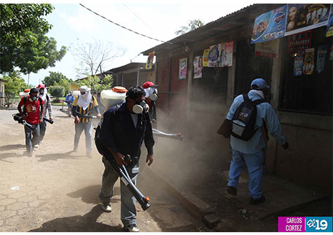 MINSA continúa fumigación contra el dengue