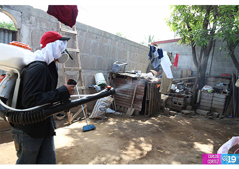 MINSA continúa fumigación contra el dengue