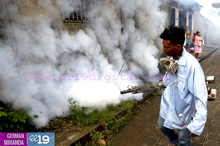 Abatizan y fumigan viviendas en el barrio La Cruz