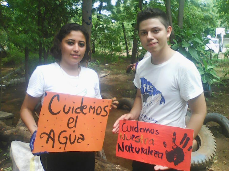 Estudiantes plantan un pequeño bosque en el patio del colegio y así luce una década después