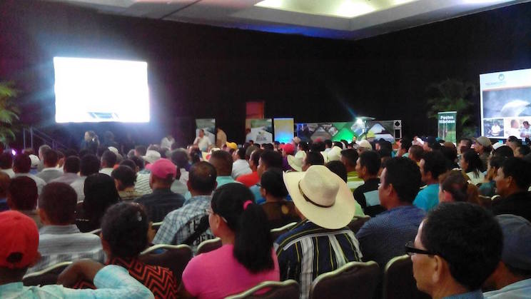 Proyecto Ganadería  Empresarial (GANE) finaliza con buenos resultados