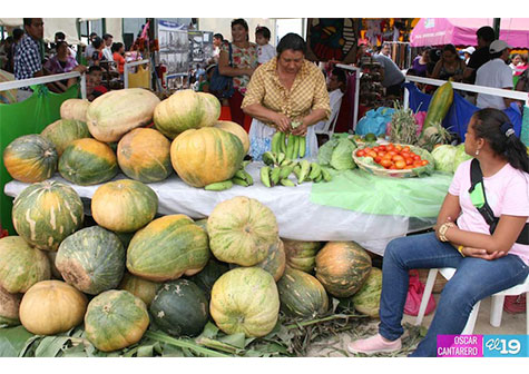 Costa Caribe destaca en Feria de la Economía Familiar