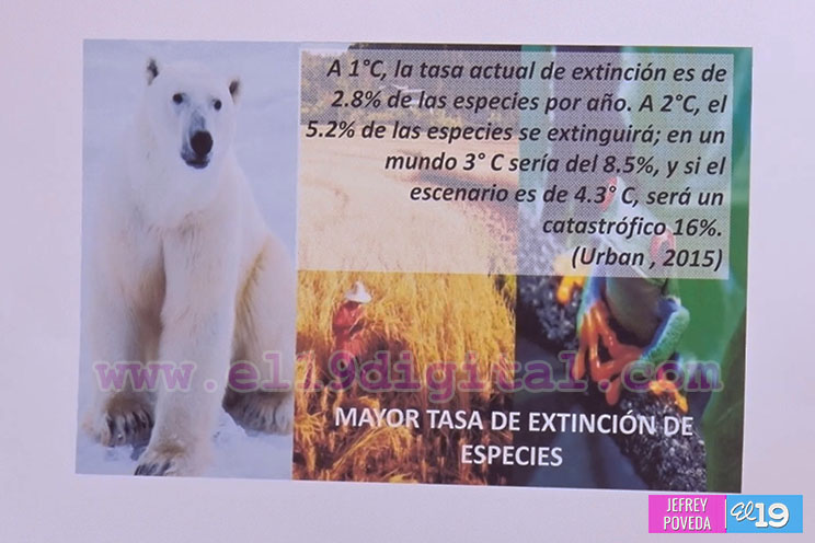 Acuerdos de París introducen incoherencias en los acuerdos internacionales