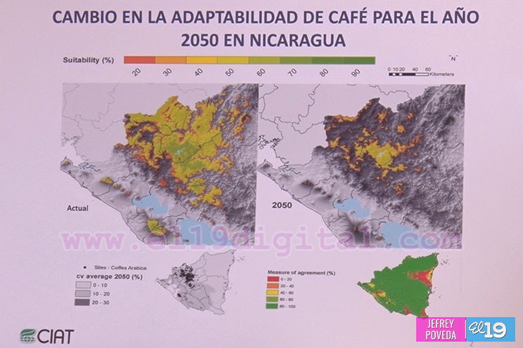 Acuerdos de París introducen incoherencias en los acuerdos internacionales