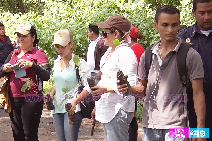 Pueblo volcado en Jornada de Reforestación en Laguna de Nejapa