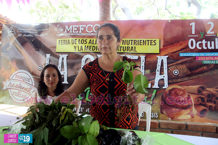 Beneficios de la canela serán expuestos en feria nacional en honor a San Francisco de Asís