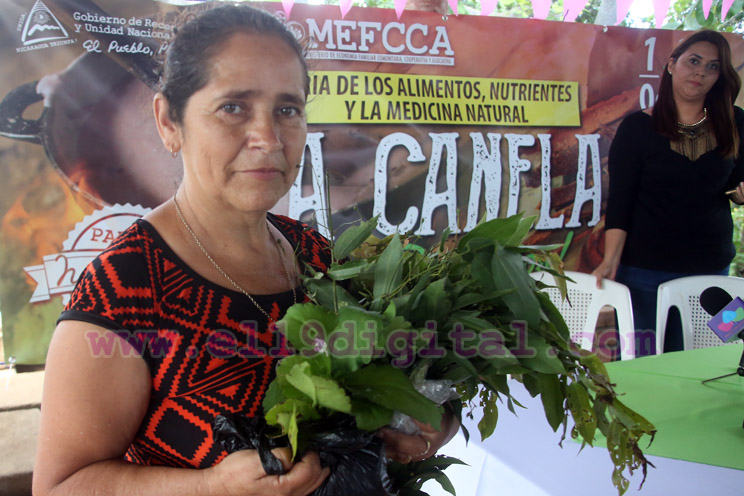 Beneficios de la canela serán expuestos en feria nacional en honor a San Francisco de Asís