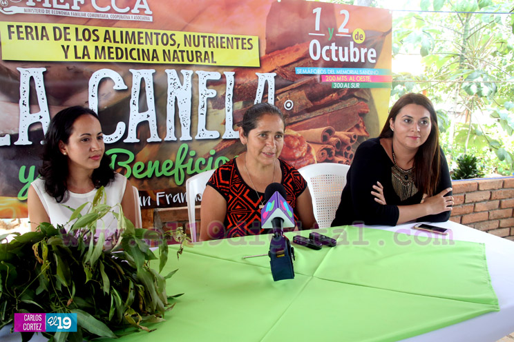 Beneficios de la canela serán expuestos en feria nacional en honor a San Francisco de Asís