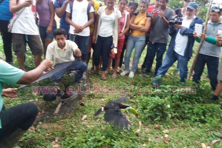 MARENA libera animales en Cárdenas