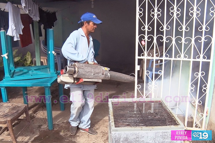 Millones de mosquitos mueren en el barrio Jonathan González