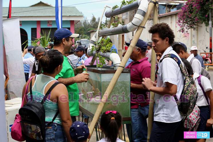 Estudiantes diriambinos presentan 23 proyectos en Expociencia Territorial