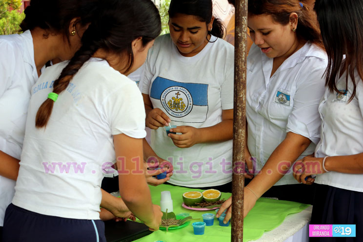 Estudiantes diriambinos presentan 23 proyectos en Expociencia Territorial