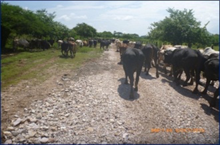 Ejército de Nicaragua informa sobre resultados de Operación Coordinada Sandino-Morazán