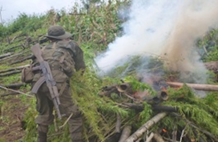 Ejército de Nicaragua informa sobre resultados de Operación Coordinada Sandino-Morazán