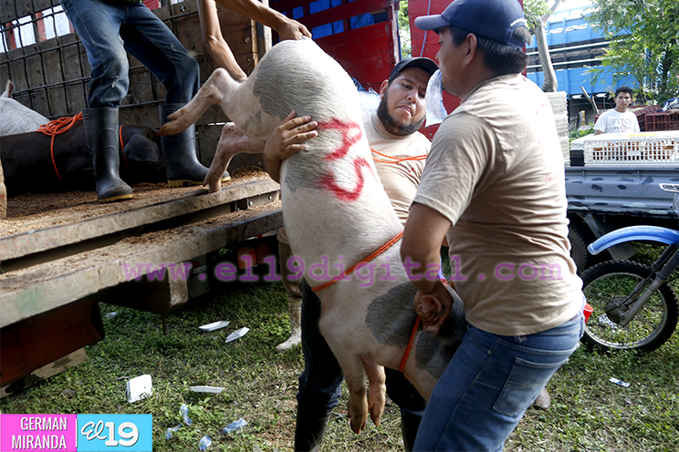 Mujeres de Ciudad Sandino están derrotando a la pobreza