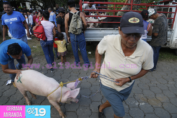 Mujeres de Ciudad Sandino están derrotando a la pobreza