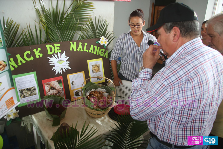 Vicepresidente Halleslevens inaugura Expociencia Territorial en Masaya