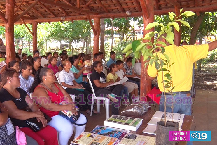 Productores de Ciudad Sandino se capacitan sobre prácticas agroecológicas y como enfrentar plagas en el café