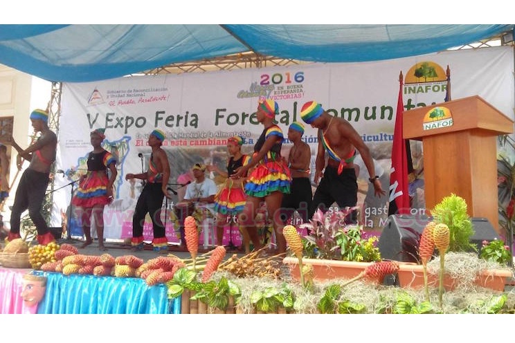 Conozca una muestra de la forestería comunitaria que se expuso en la V Feria Forestal 2016