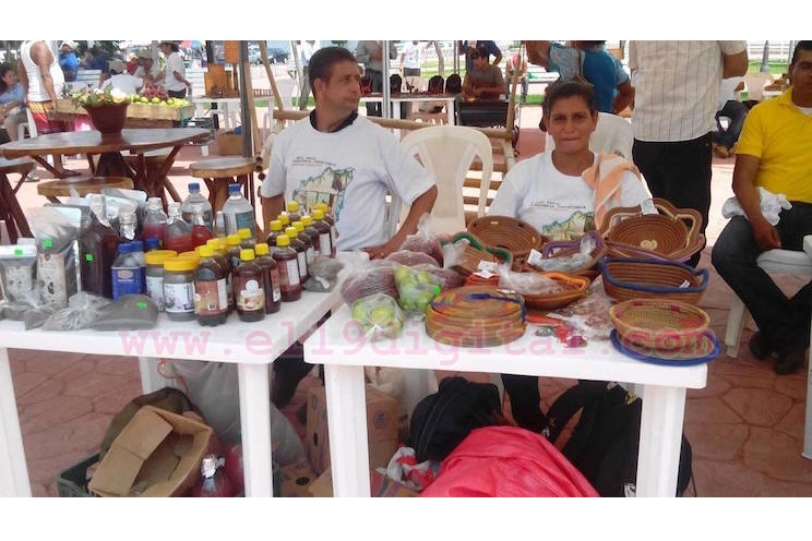 Conozca una muestra de la forestería comunitaria que se expuso en la V Feria Forestal 2016