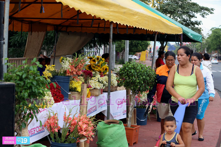 Flores para conmemorar a los fieles difuntos se venden en la Avenida de Bolívar a Chávez