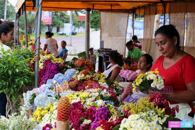 Flores para conmemorar a los fieles difuntos se venden en la Avenida de Bolívar a Chávez