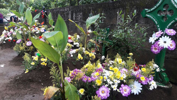 Masaya: Un Jardín de Flores para los fieles Difuntos
