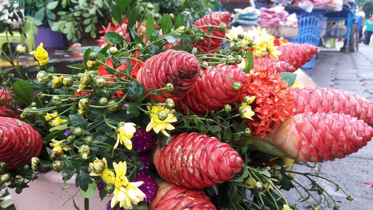 Masaya: Un Jardín de Flores para los fieles Difuntos