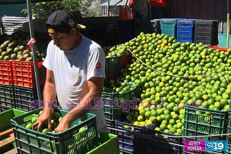 ¿Cómo se prepara el Mercado Oriental para la temporada navideña?