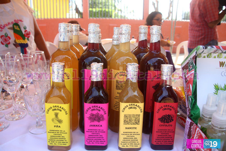 Feria de la Economía Familiar un punto de reunión para familias Tipitapa