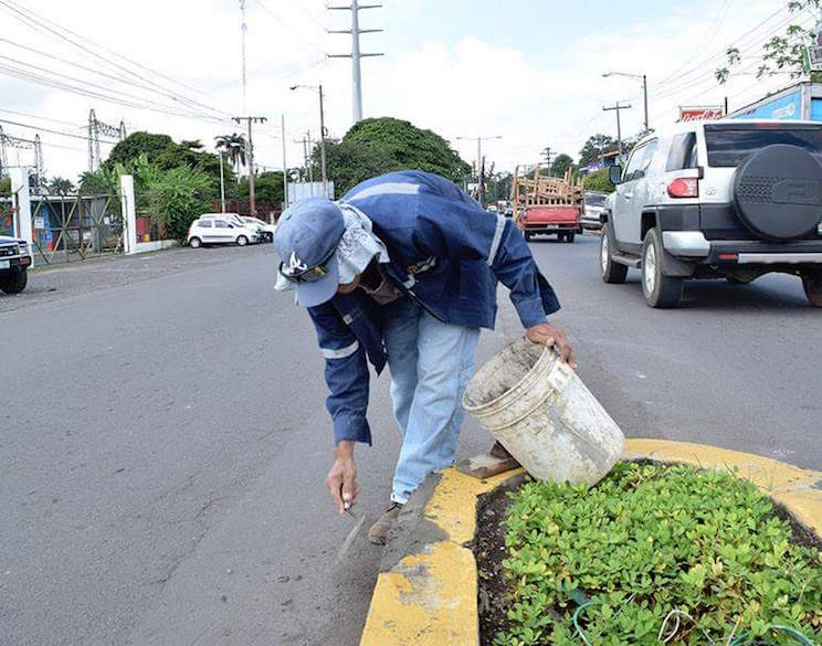 Alcaldías del país empiezan a instalar adornos navideños en espacios públicos 