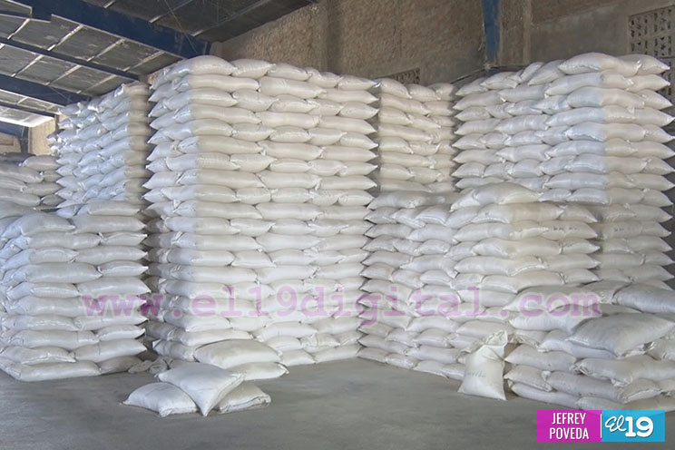 Producción de arroz y maíz con buenos resultados gracias a la asistencia técnica del Inta