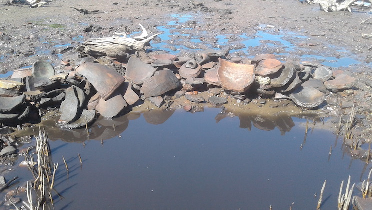 Encuentran vasijas antiguas en la Isla Juan Venado