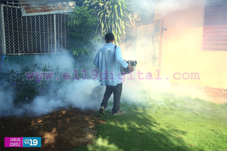 Brigadas medicas continúan visita casa a casa para erradicar al Aedes Aegypti