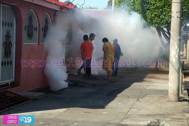Brigadas medicas continúan visita casa a casa para erradicar al Aedes Aegypti