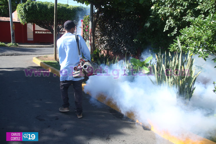 Brigadas medicas continúan visita casa a casa para erradicar al Aedes Aegypti