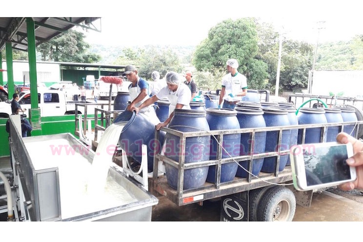 TRAGSA conoce experiencias productivas de pequeño productores de Chontales